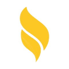 تعاهد القرآن